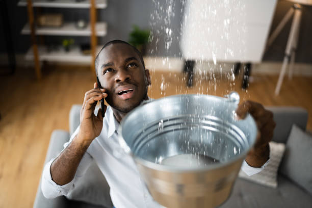 Best Residential water damage restoration  in Skyline View, PA