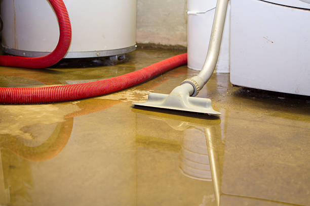 Best Flood restoration services  in Skyline View, PA