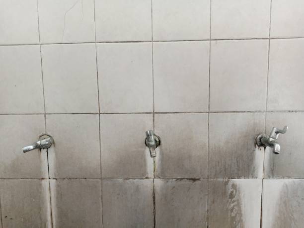 Local water damage restoration in Skyline View, PA