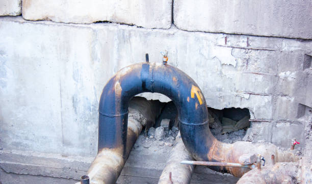 Best Professional water damage repair  in Skyline View, PA