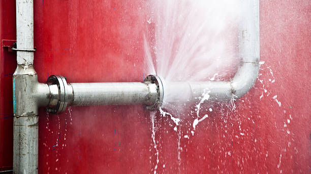 Best Water damage cleanup near me  in Skyline View, PA