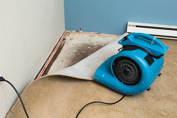 Best Water damage restoration near me  in Skyline View, PA